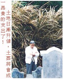 26202p2.jpg (23912 bytes)