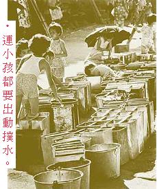 27702p7.jpg (22114 bytes)